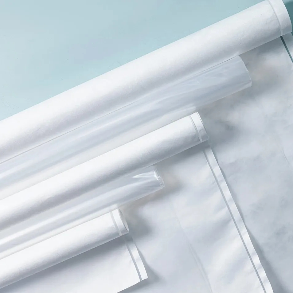 Medical Dialysis Paper 1