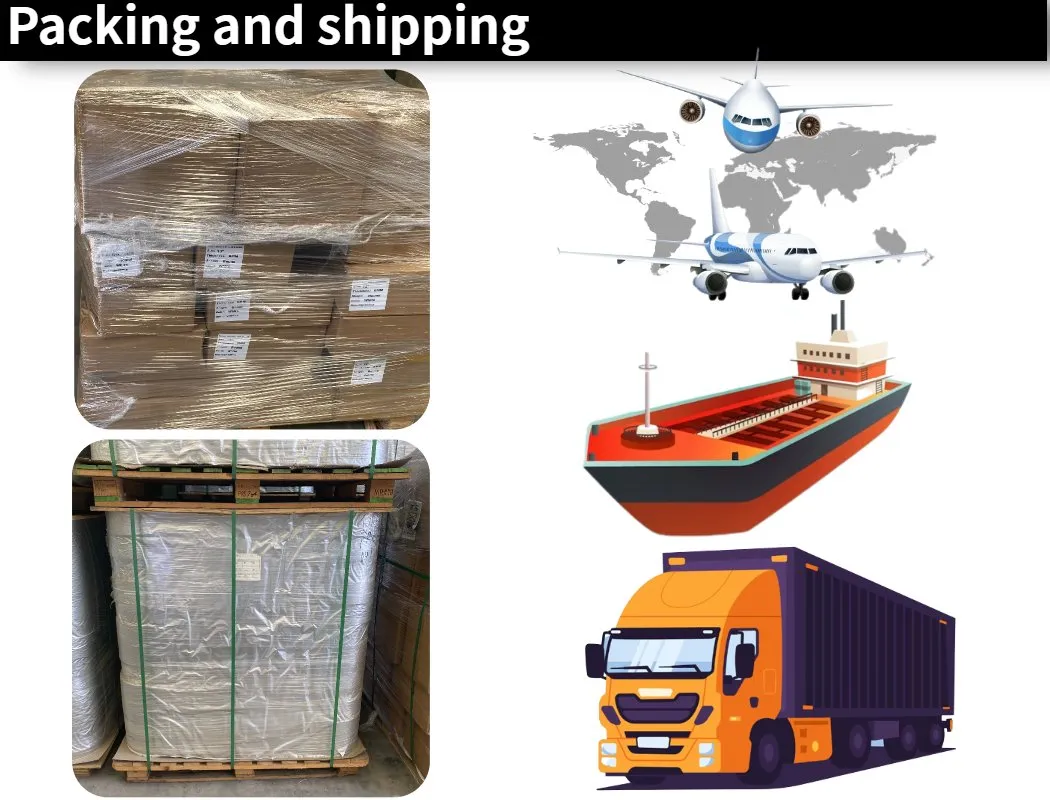Shipping Logistics
