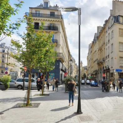 Outdoor Lighting: IP66 Waterproof LED Garden Landscape and Park Post Top Lights with 5-Year Warranty