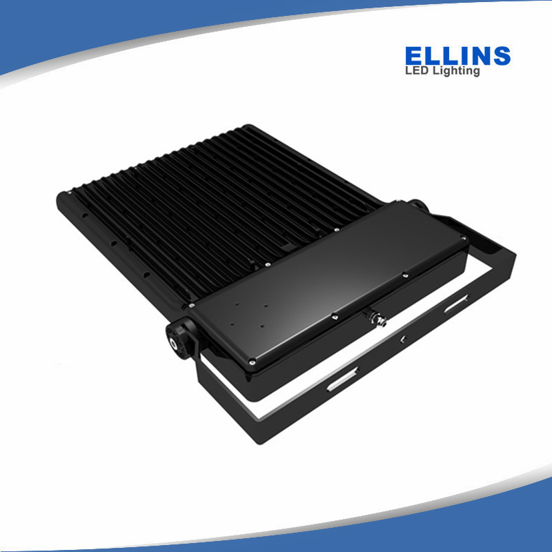 PIR Flood Light LED Amenity Lighting LED Sports Modular Floodlight 100W 150W 200W 300W