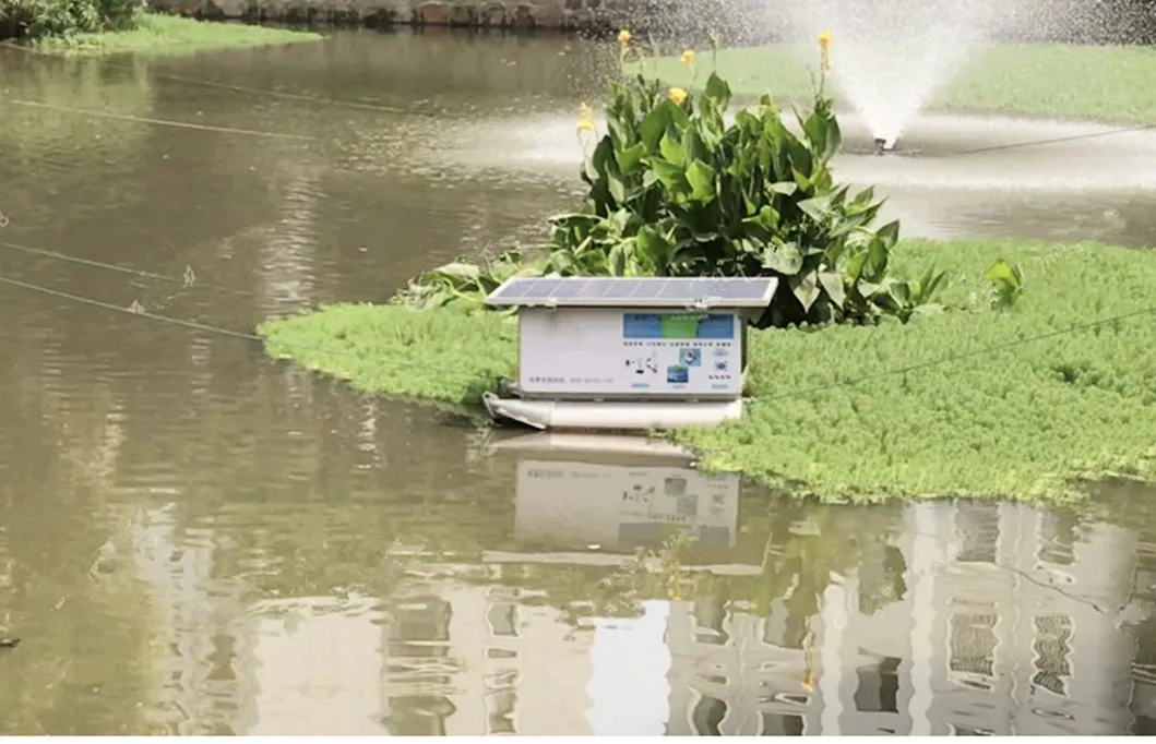 Solar Aeration System View 3