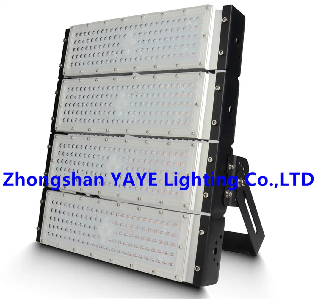 LED Flood Light 21