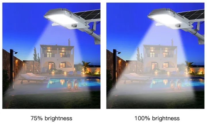 Solar Street Light Detail 2