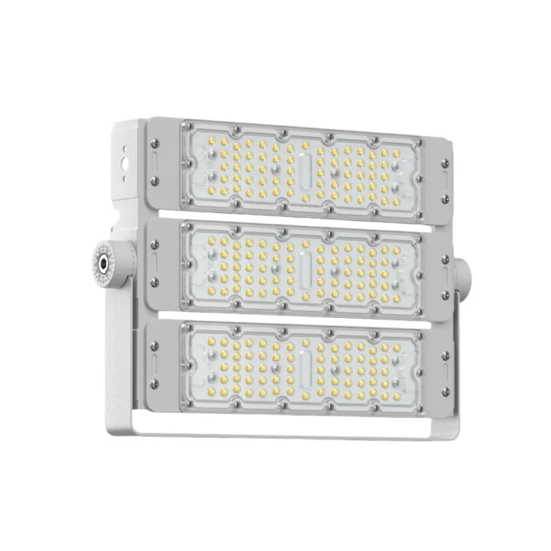 Led Floodlight 1
