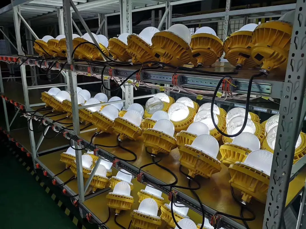 Explosion Proof Light - Harsh Conditions