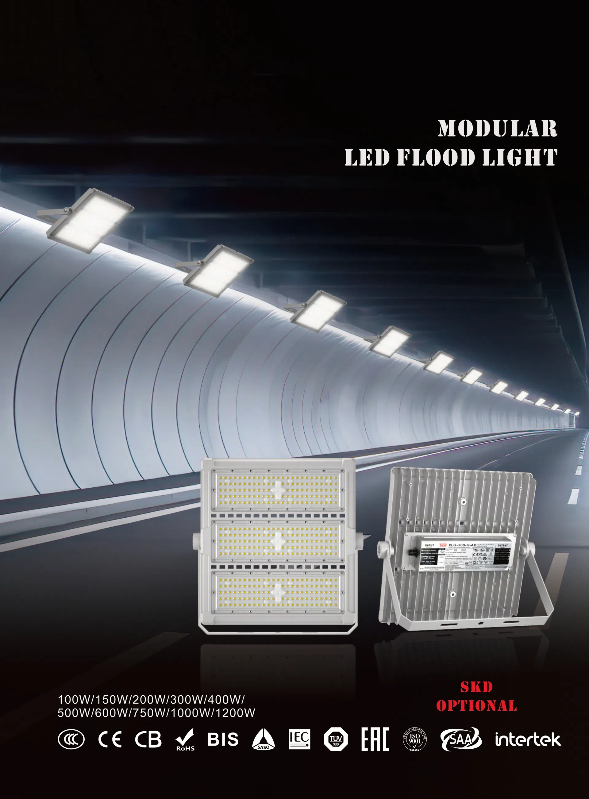 LED Flood Light 1
