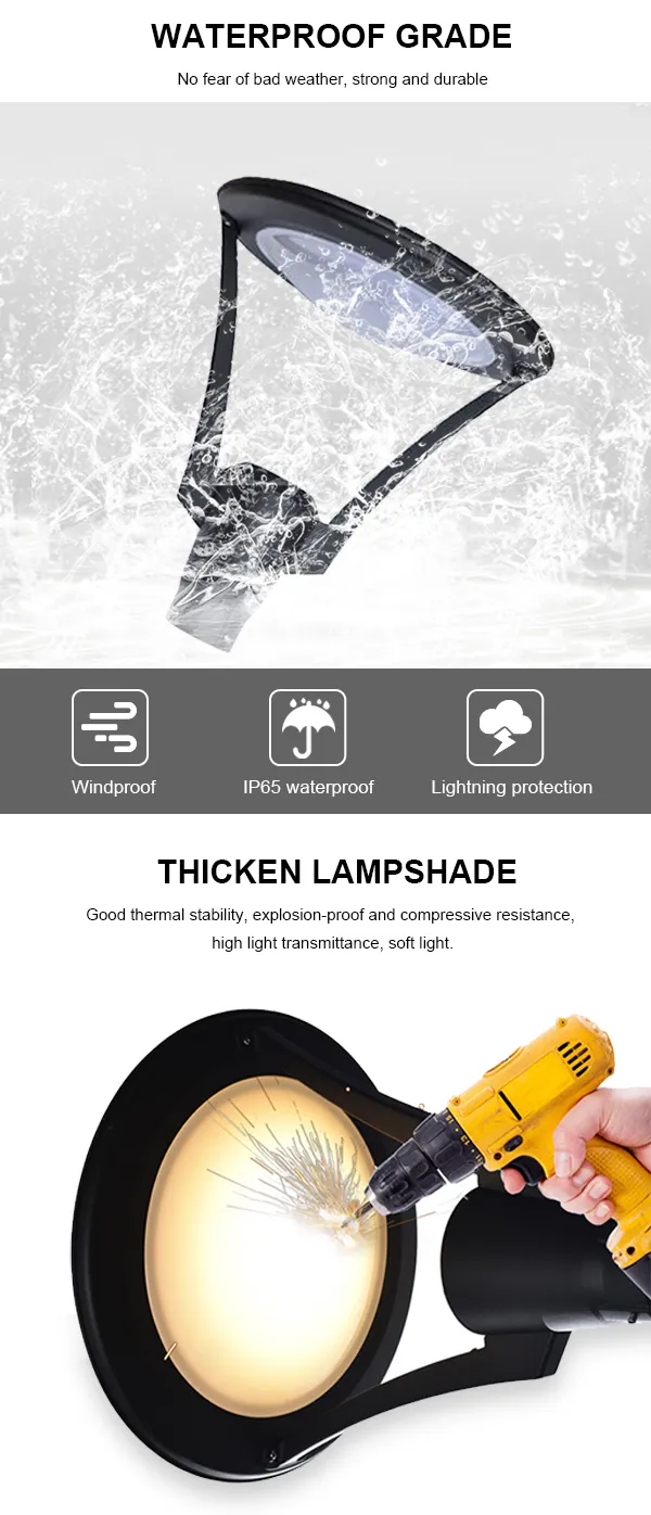 Garden Light Display 2