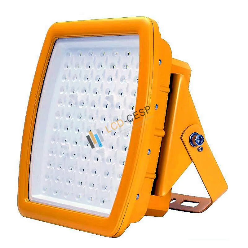 Explosion Proof Light