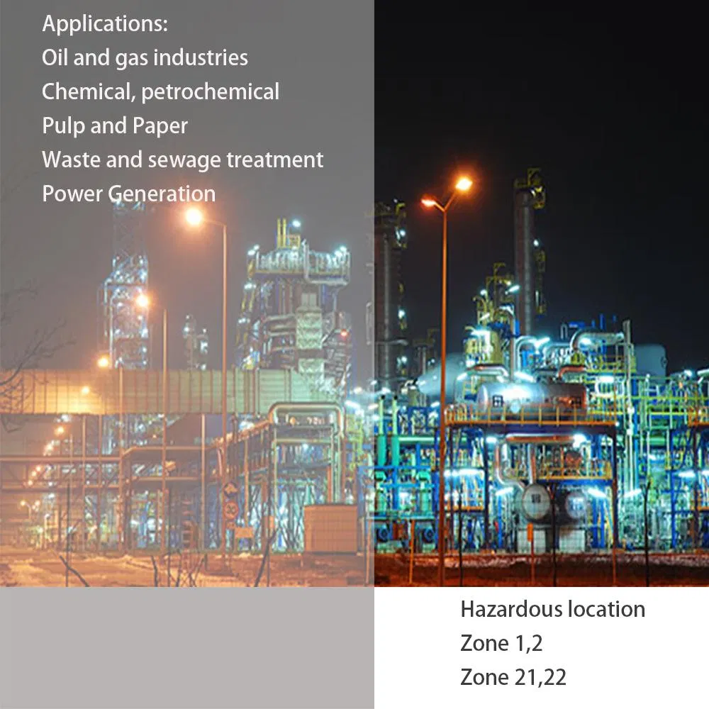 Flood Light Detail 2