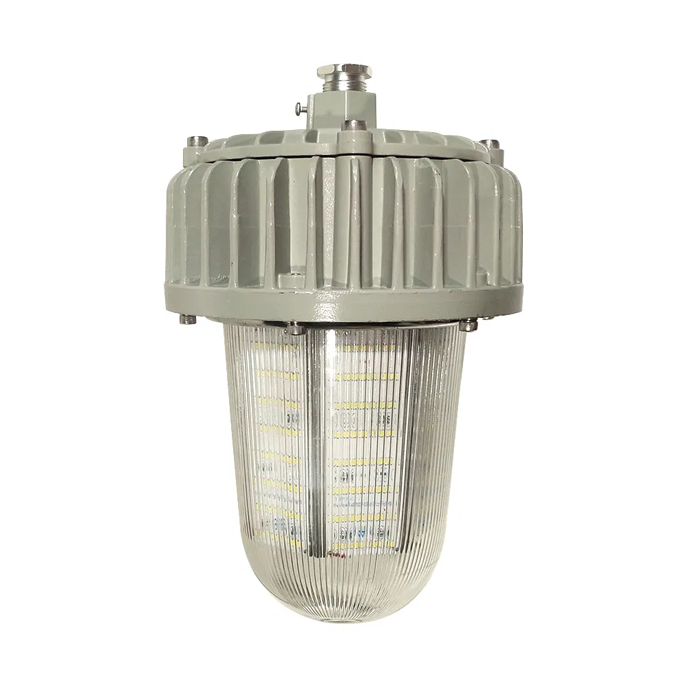 Marine Grade Explosion Proof LED Flood Lighting for Offshore Platform Zone 1 with Atex