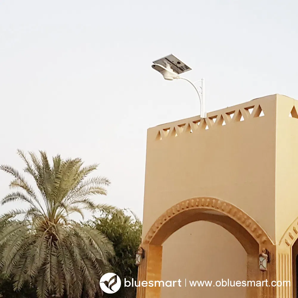 China Solar LED Lighting Outdoor Roadway Garden Light with Motion Sensor Control System