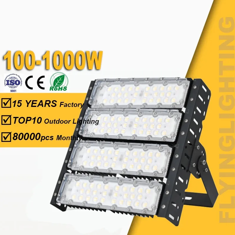 LED Flood Light 1