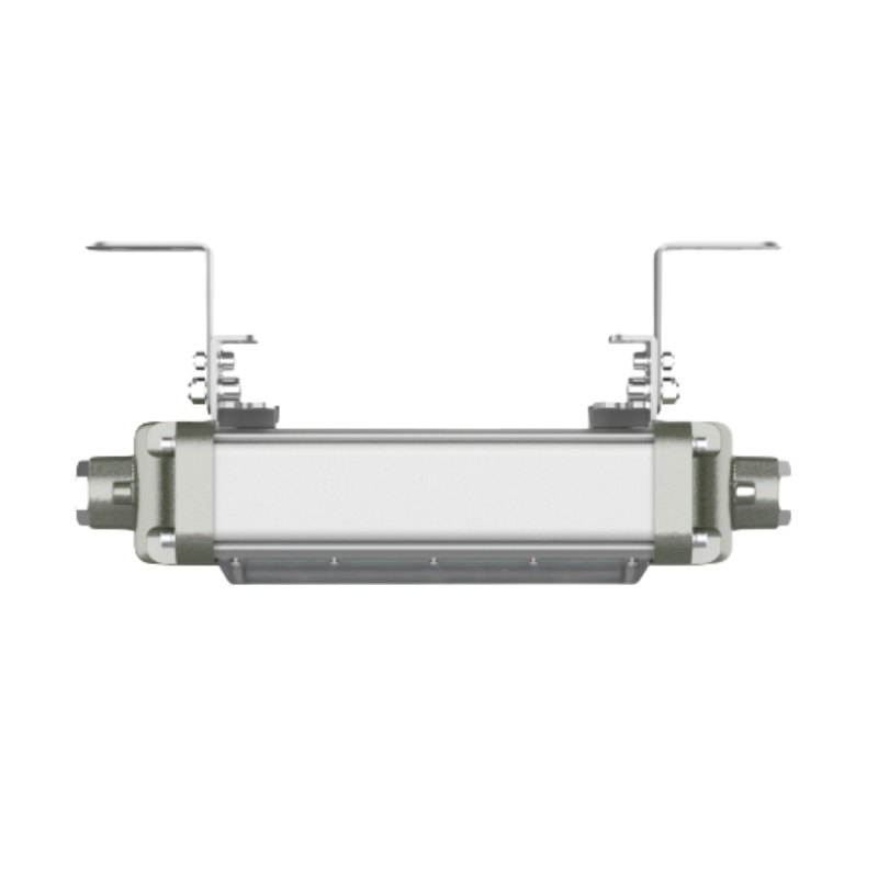 ATEX Heavy-Duty 60min 90min Emergency 0.3m 0.6m 1.2m LED Explosion Proof Batten Light