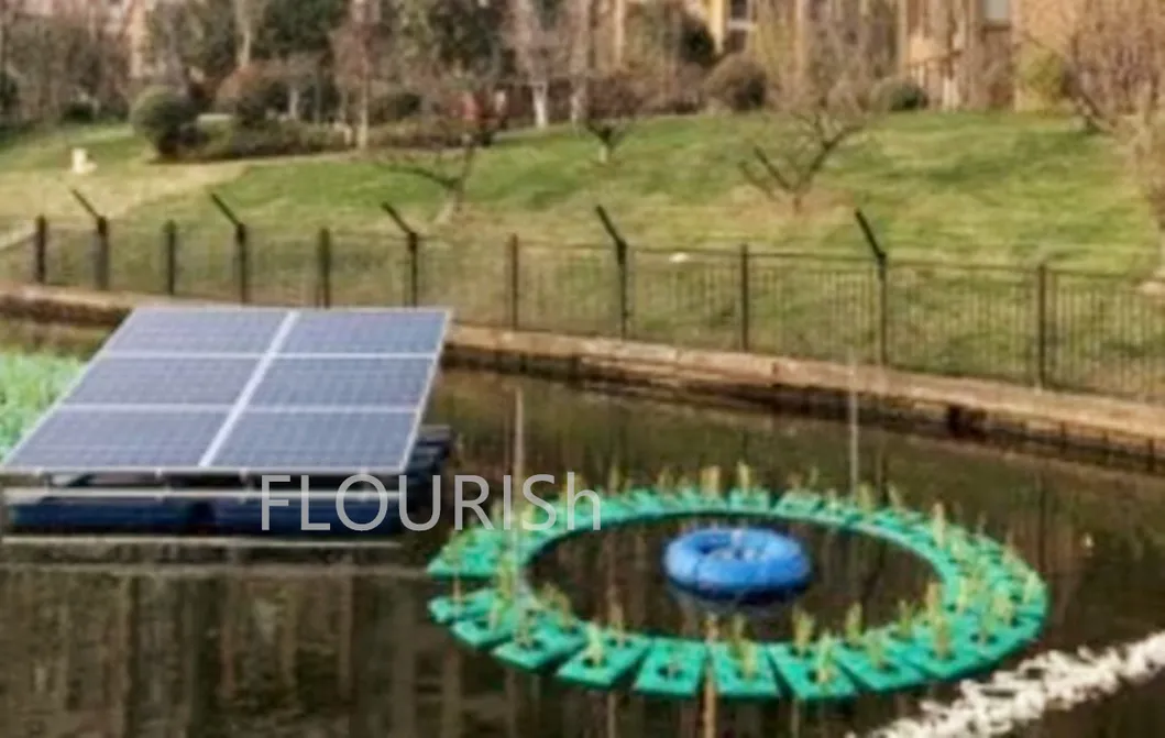 Solar Aeration System View 6