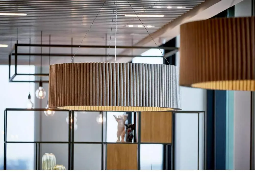 Acoustic Light Display 5