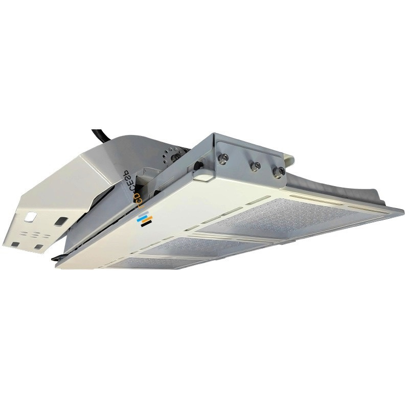 Industrial LED Floodlight 100W-800W Stainless Steel Marine Grade Lighting 100-277VAC 24V/36VDC 5000K Symmetrical or Asymmetrical Lens IP68 Ik10 CE 5year Warrty