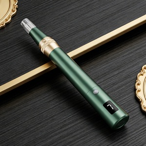 CE Certified Home Use Wireless Auto MTS Mesotherapy Powered Microneedle Derma Pen For Whitening Dark Spots Acne And Hair Growth