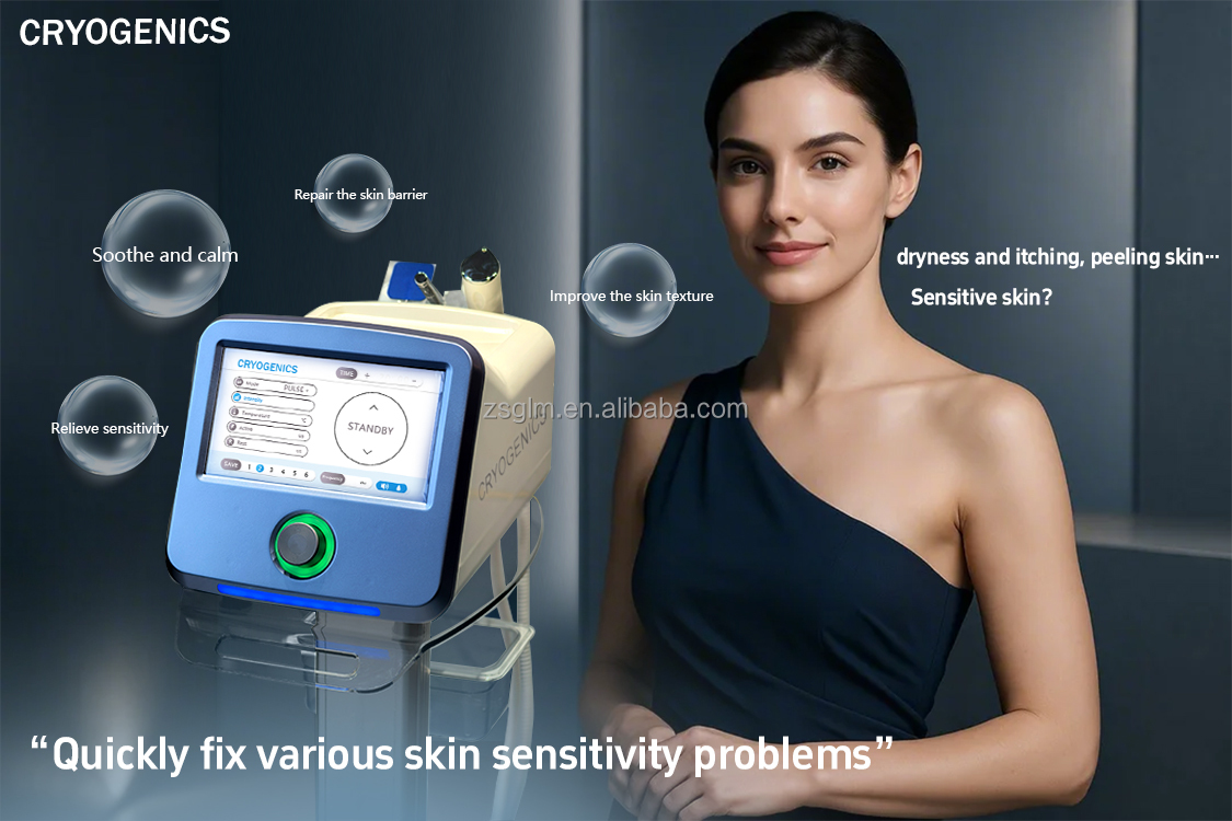 Hot Sale Face Skin Care Manufacturer D Cool Ems Electroporation Mesotherapy Skin Rejuvenation Cooling Facial Treatment Machine