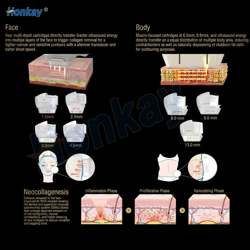 Multi-Functional Face Lift Body Shaping Machine With 2 Handles For Skin Firming Wrinkle Removal Targeted Areas