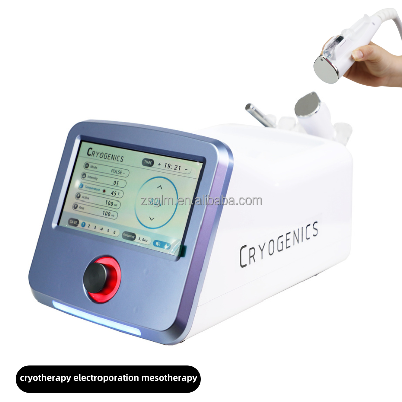 Hot Sale Face Skin Care Manufacturer D Cool Ems Electroporation Mesotherapy Skin Rejuvenation Cooling Facial Treatment Machine