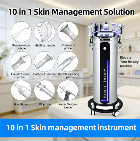 10-in-1 Hydrodermabrasion Facial Machine | 2024 Professional Oxygen Skin Care Device for Commercial Use (CN Plug Compatible)