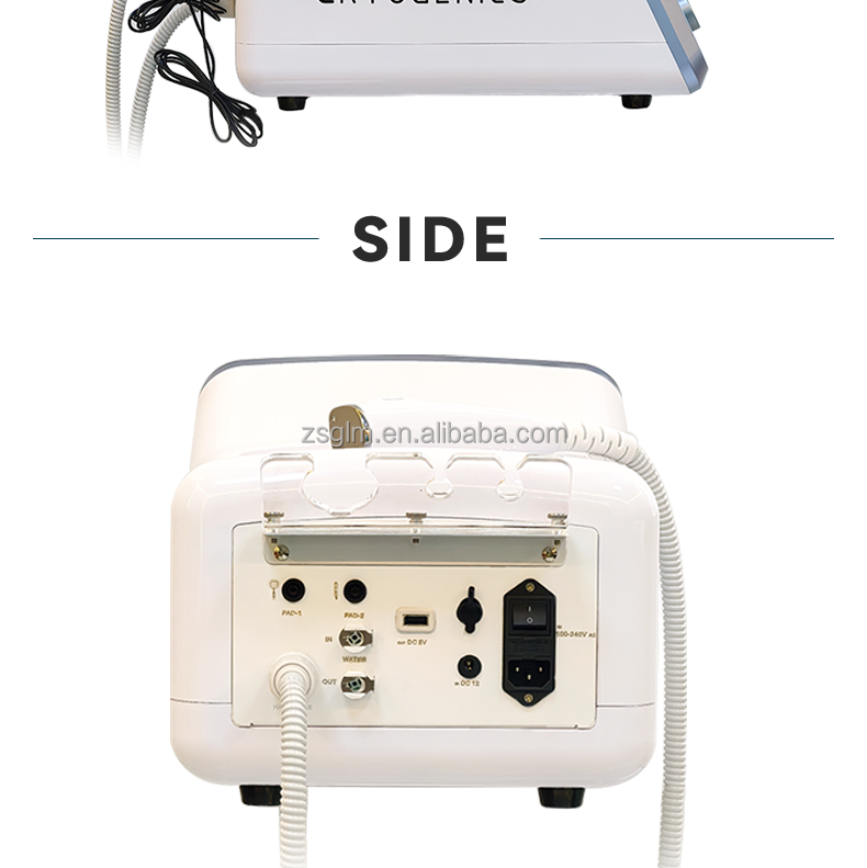 Hot Sale Face Skin Care Manufacturer D Cool Ems Electroporation Mesotherapy Skin Rejuvenation Cooling Facial Treatment Machine