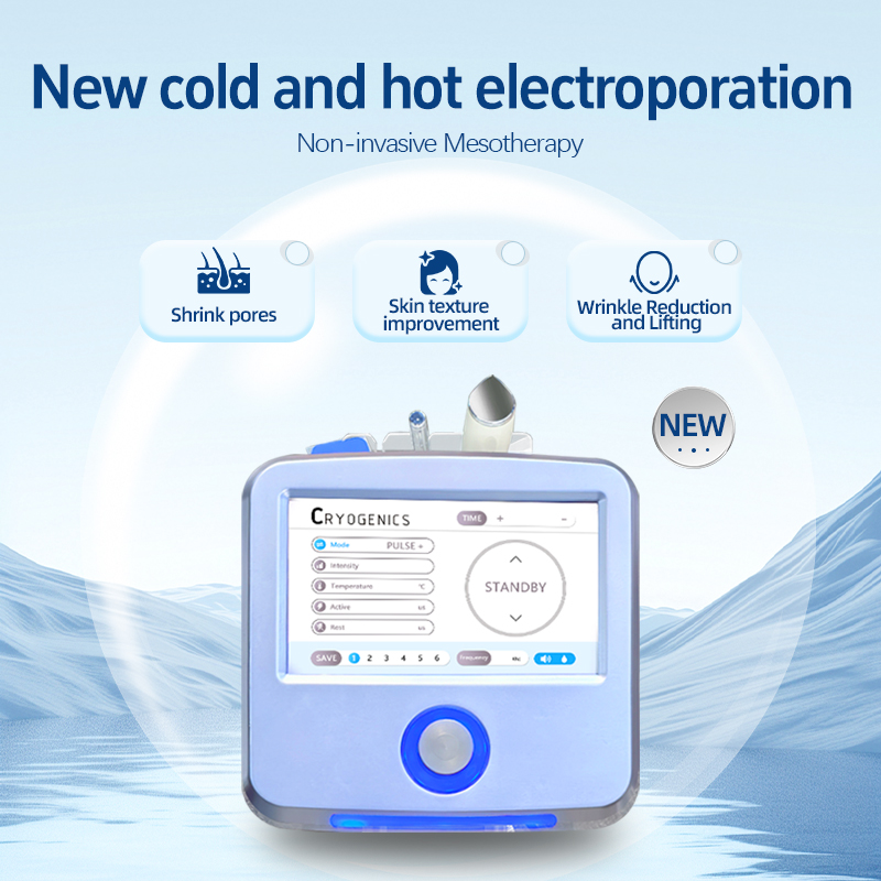 Hot Sale Face Skin Care Manufacturer D Cool Ems Electroporation Mesotherapy Skin Rejuvenation Cooling Facial Treatment Machine