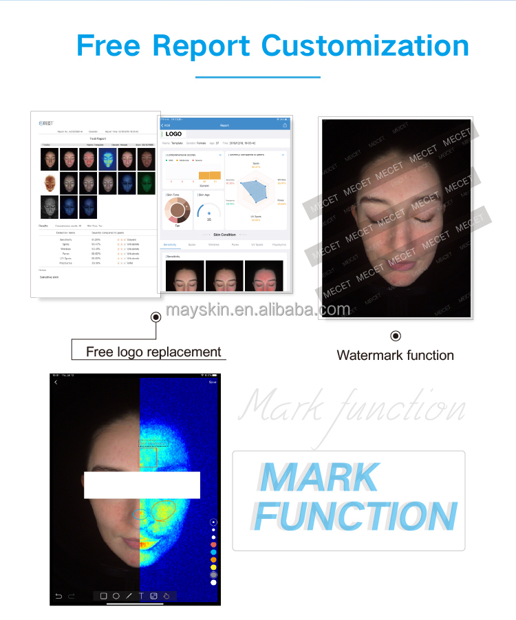 Report Customization