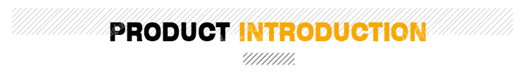Process Description