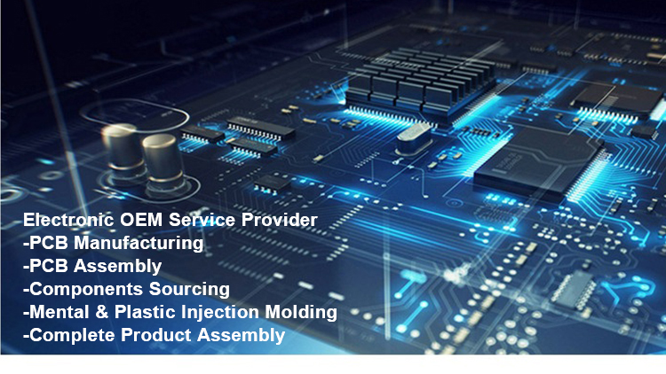 Electronic Manufacturing Services