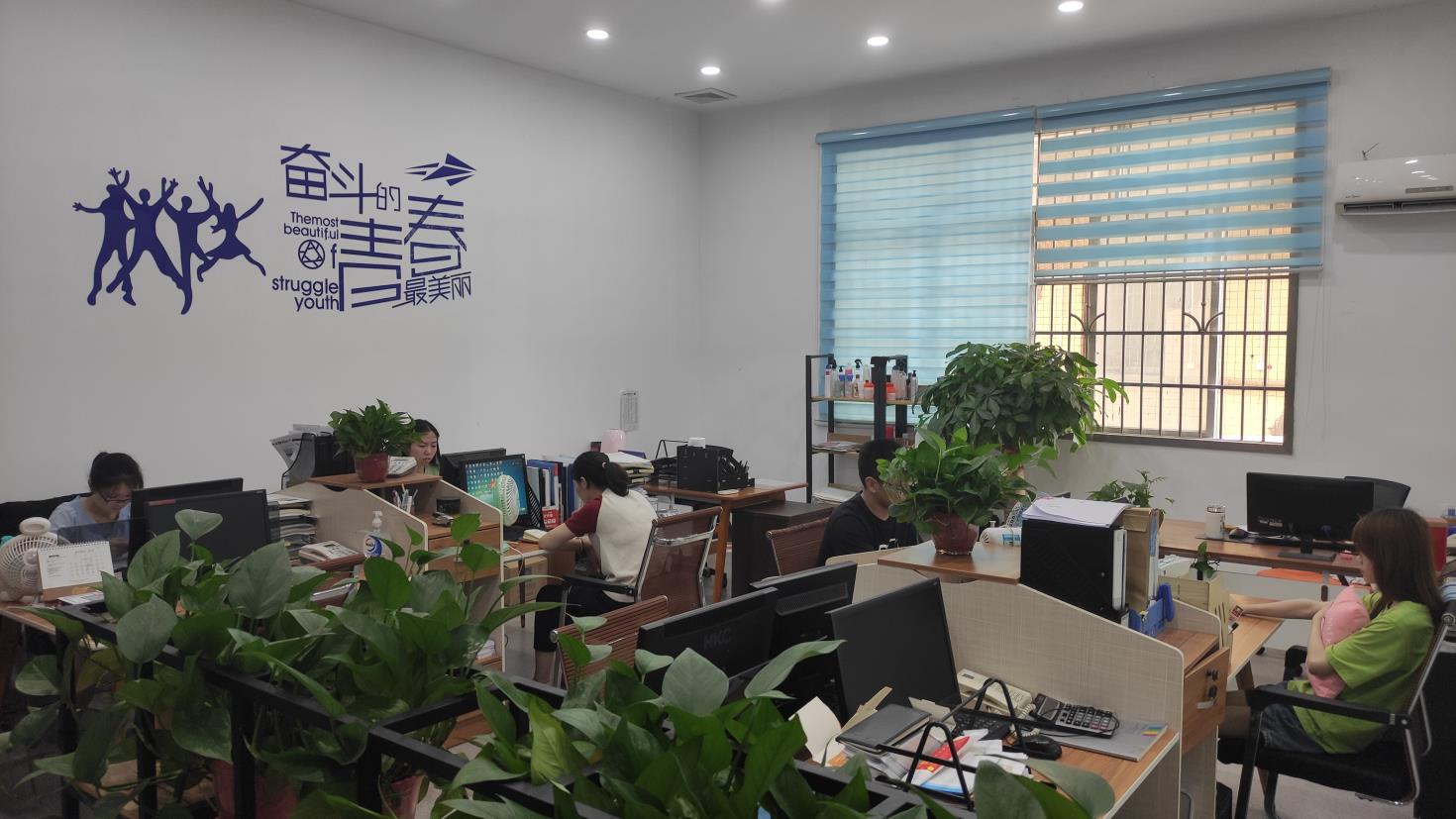 Company overview 2