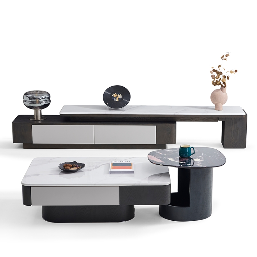 Shunomei Premium Steel Home Coffee Table with Versatile Storage Options