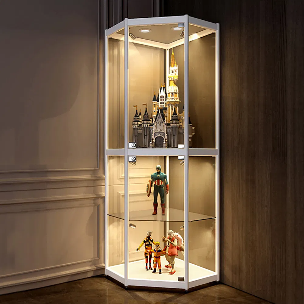 Display Cabinet 7