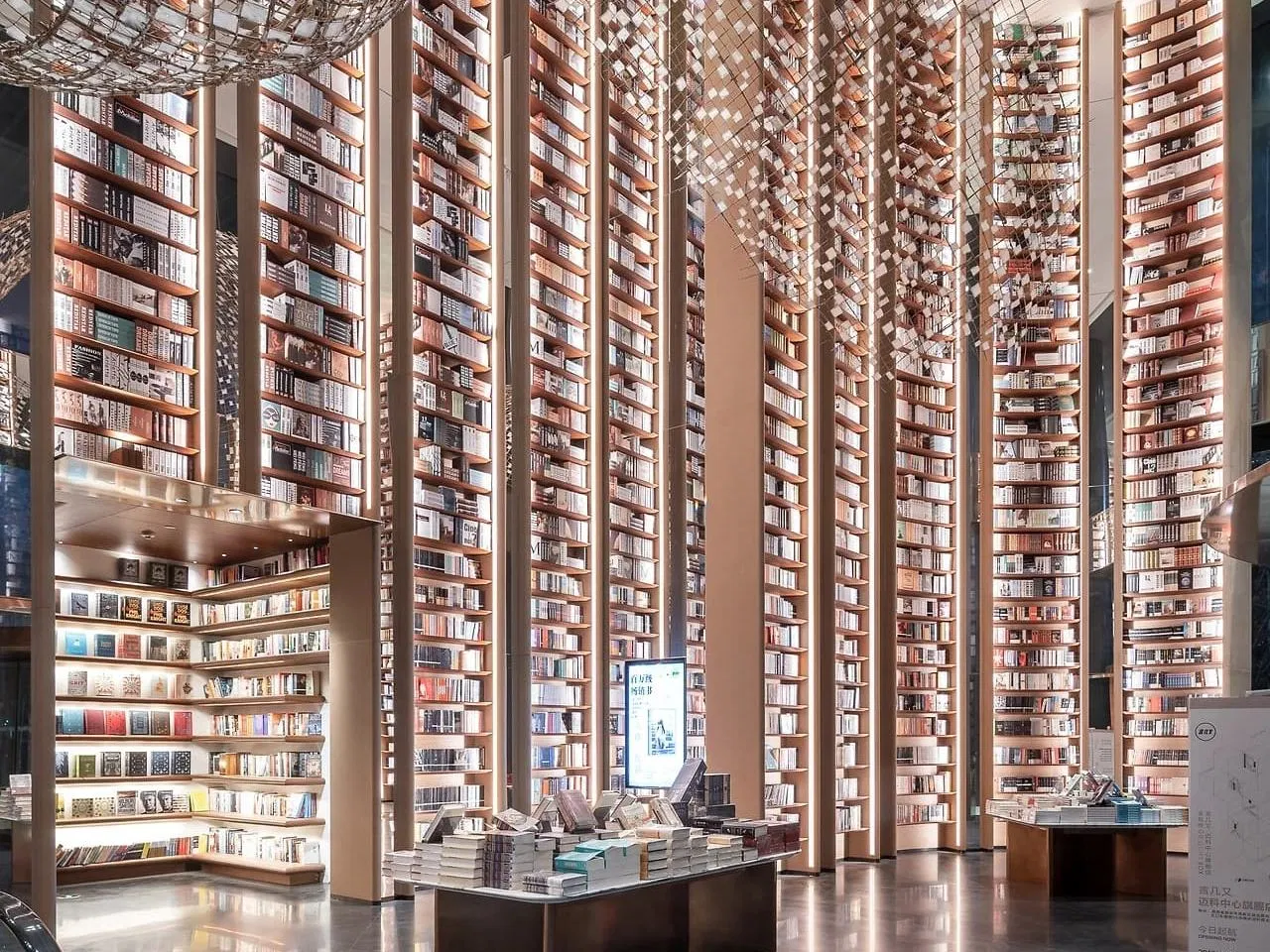 Elegant Custom Library Wooden Display LED Lighting Bookshelves Cabinets for Bookstore Interior Layout Design