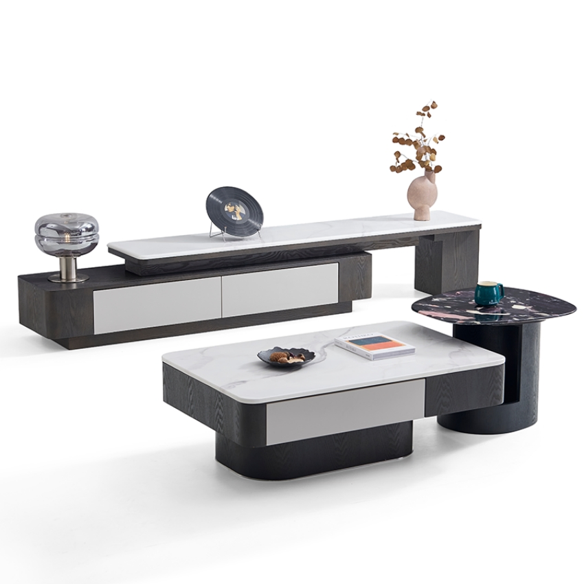 Shunomei Premium Steel Home Coffee Table with Versatile Storage Options