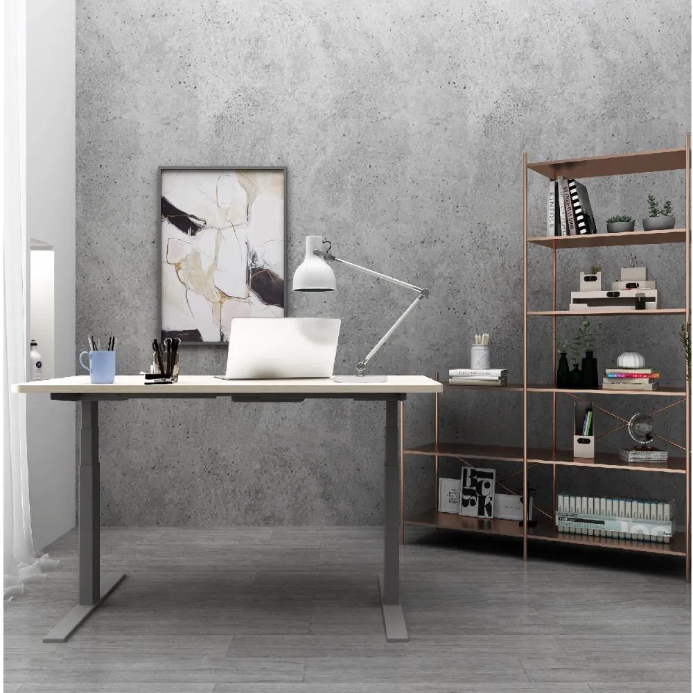 Mesa de Computador Ergonômica Estrutura de Aço Metálico Altura Ajustável Mesa de Elevação para Escritório em Casa