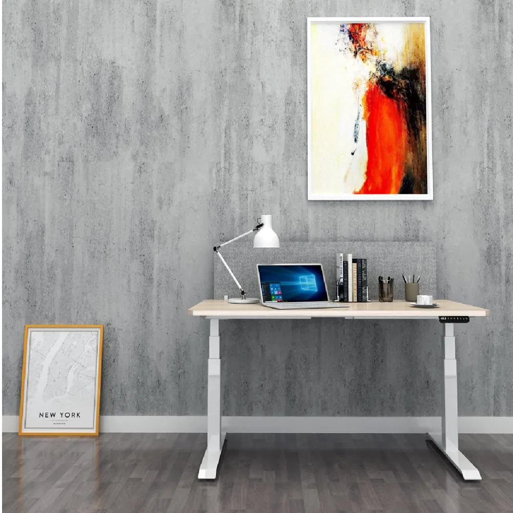 Mesa de Computador Ergonômica Jiecang Estrutura de Aço Metálico Altura Ajustável Mesa de Elevação para Escritório em Casa