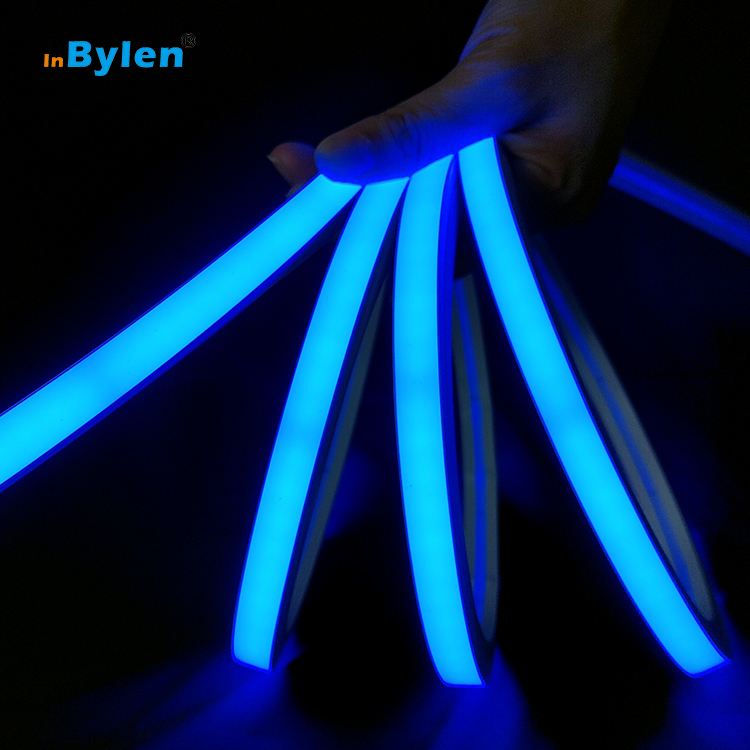 Hot Selling 12*12mm 1212 RGB Flex LED Neon Lights IP67 Waterproof Outdoor RGB Neon Flex DC24V 3838 120LED Neon RGB LED Strip
