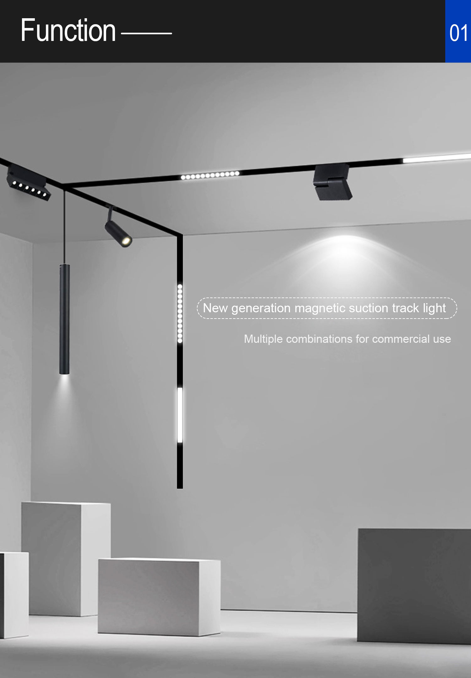 Showcase Gallery 4