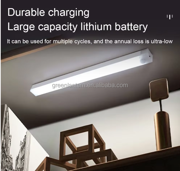 Cabinet Light Battery