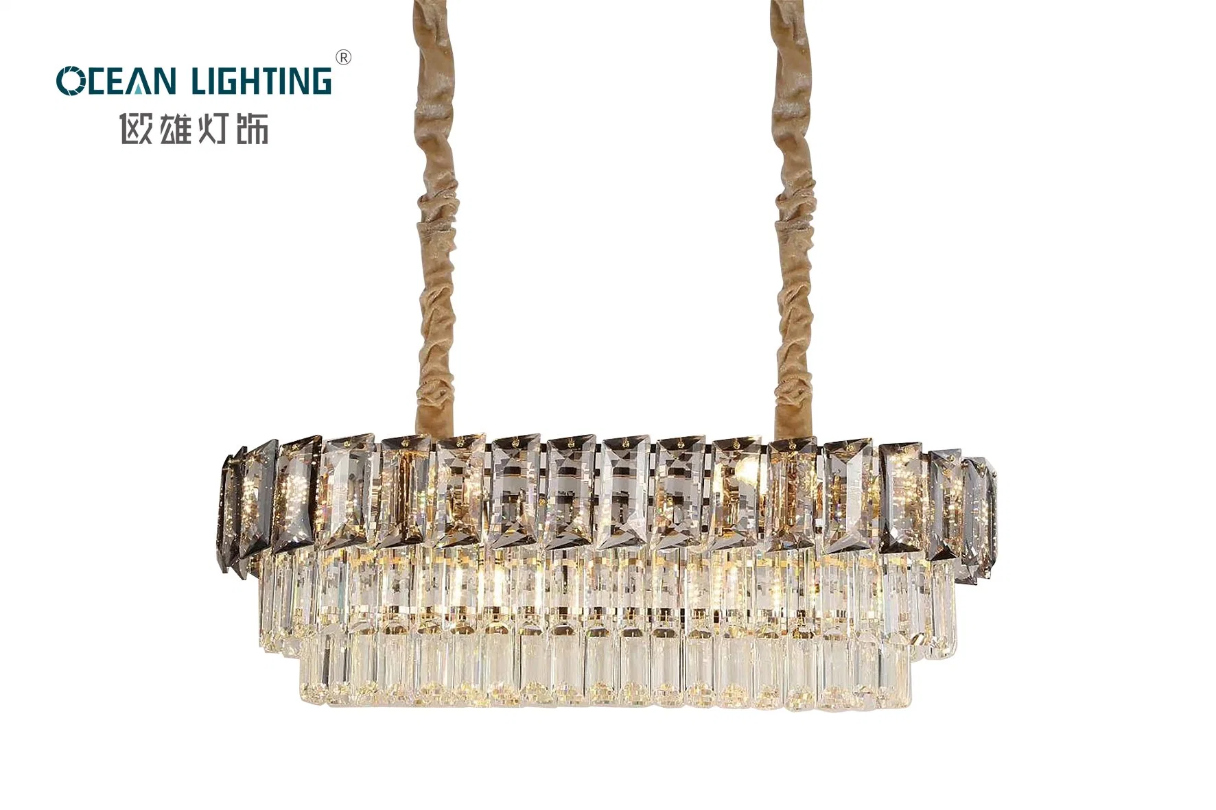 Contemporary Decorative Style LED Chandelier Lighting Restaurant Bar Chandeliers Modern Pendant Light