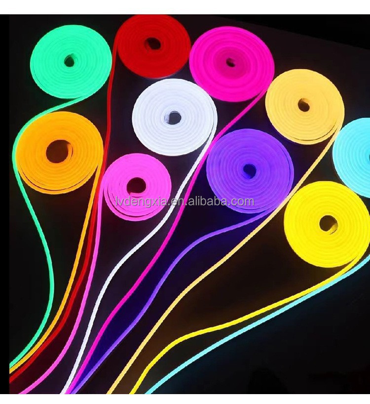 12V RGB White Rope Lights Flexible LED Neon Flex Strip 6*12mm 120Leds 13Colors Regular Neon Light for Landscape PVC Body IP67