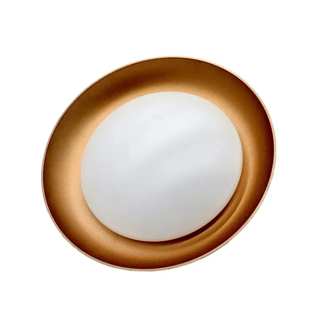 LED Flush Mounted Light