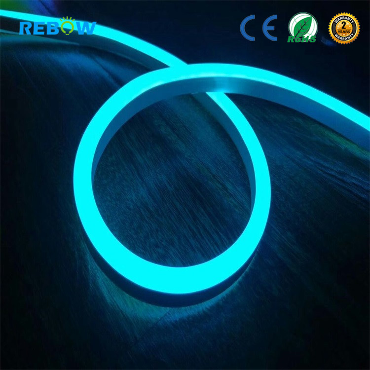 LED Flexible Strip Light AC 220V 110V 12V 24V SMD 120led IP67 Waterproof Neon Led Flex