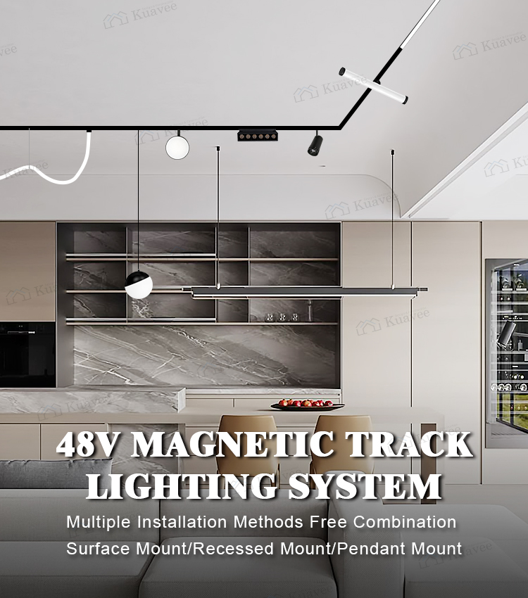 Magnetic Track Light Feature 1