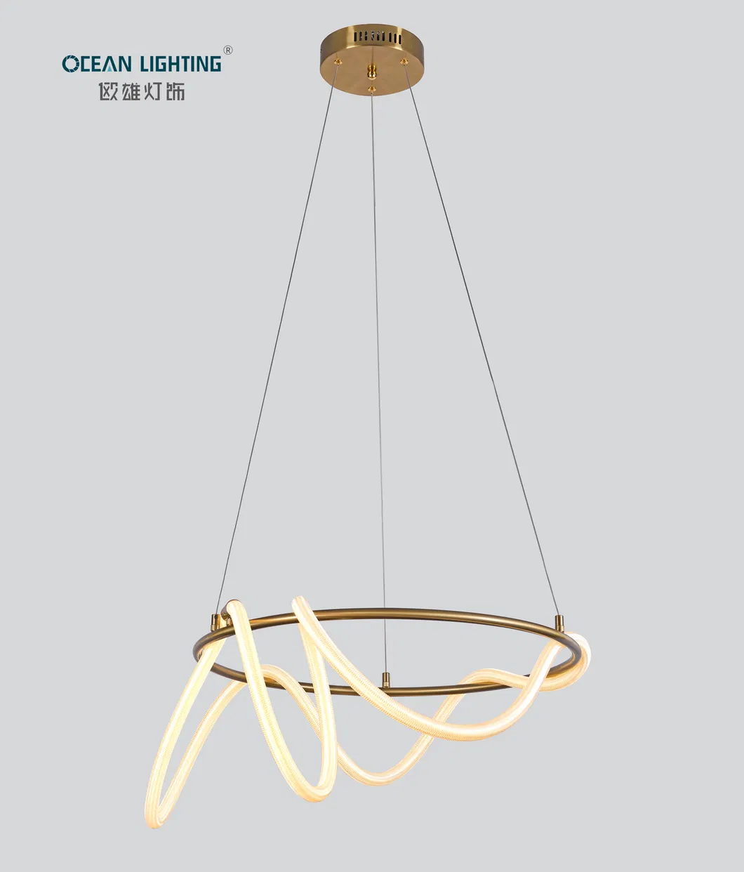 Modern LED Ceiling Light