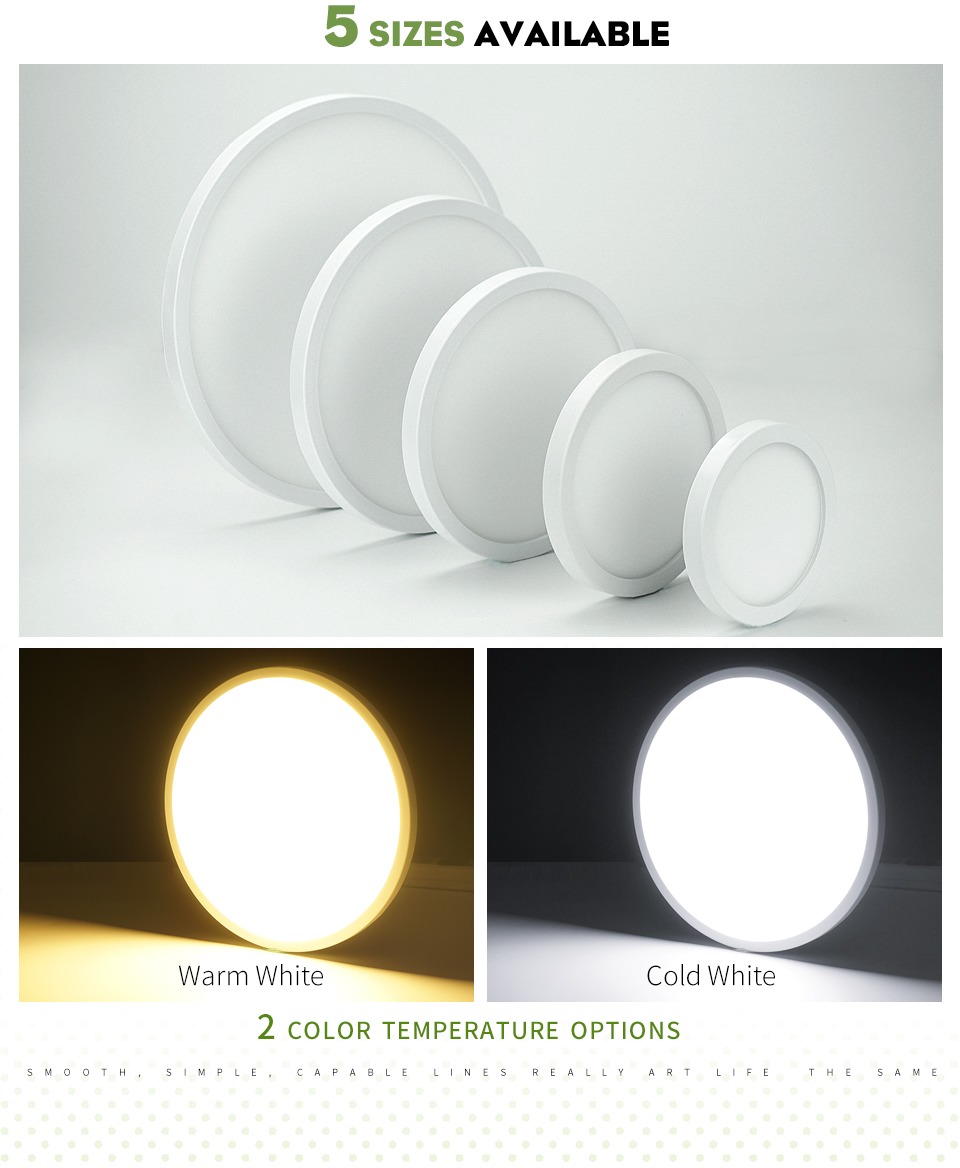 Product Details 3