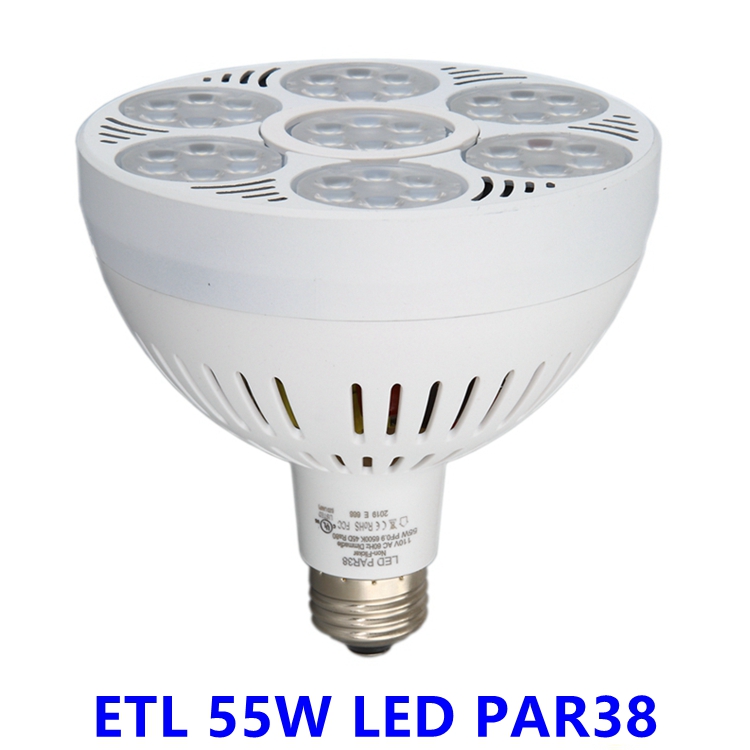 Hot Sale Indoor LED Light - ETL 55W LED PAR38
