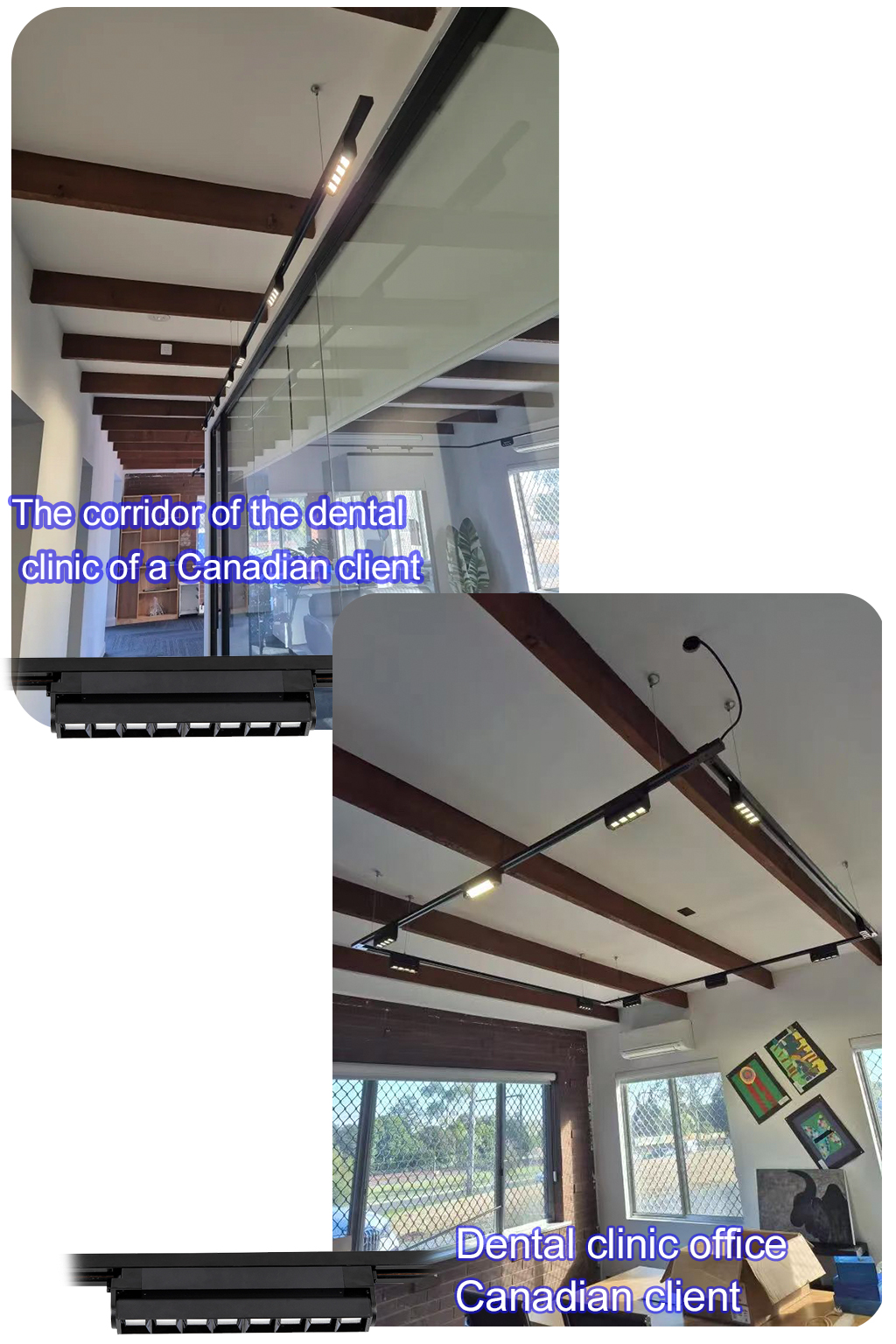 Track Light