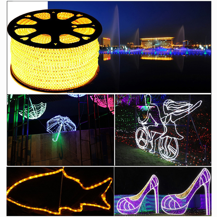 360-Degree Waterproof LED Strip Light 5m Rainbow Tube Rope Christmas Garden Decor Multiple Colors 12V Input Voltage 100m Length
